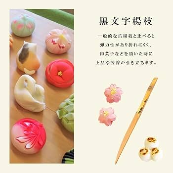希少な落葉樹 良品の アオモジ 437 樹高2.1m位 青文字 高級楊枝 アオモジ（青文字）＞ 高級楊枝材クロモジの名前に因んで - く